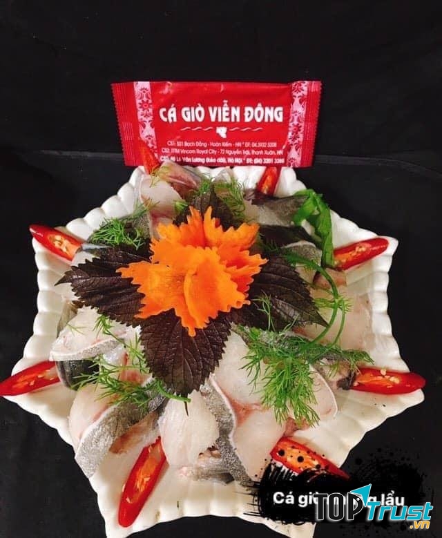 Cá Giò Viễn Đông