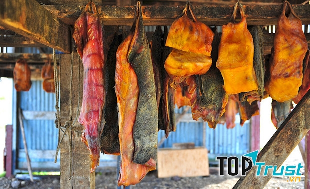 Cá mập lên men Hákarl