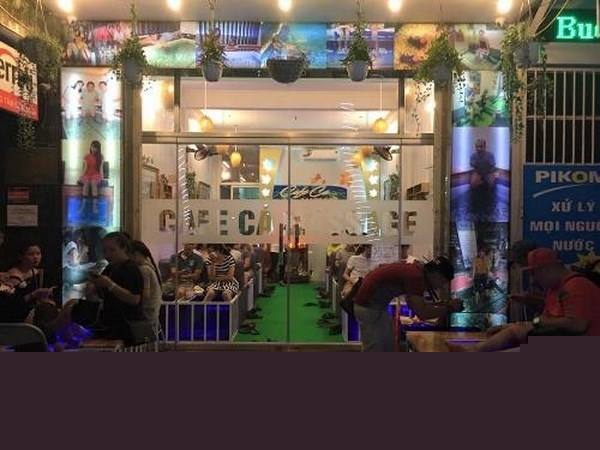 Cá Massage Cafe