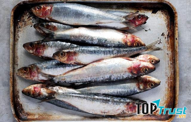 Ảnh minh họa - nguồn internet