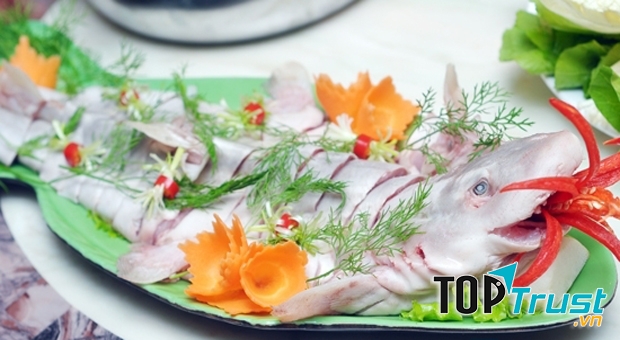 Hình ảnh cá nghéo bao tử