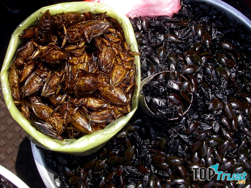 Món nhậu Cà Niễng