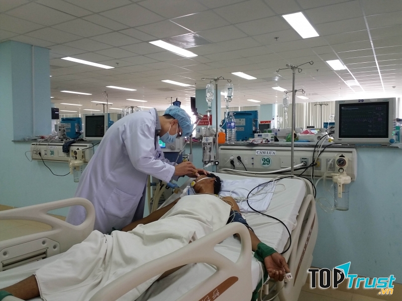 Nhập viện vì ngộ độc cá nóc