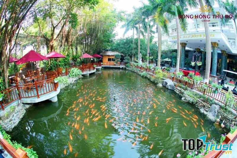 Cà phê sông Hồng Thủ đô
