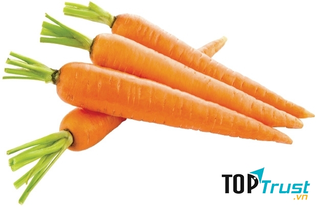 Trong cà rốt chứa các chất carotenoid và vitamin A có tác dụng chống lại các triệu chứng hình thành các tế bào ung thư.