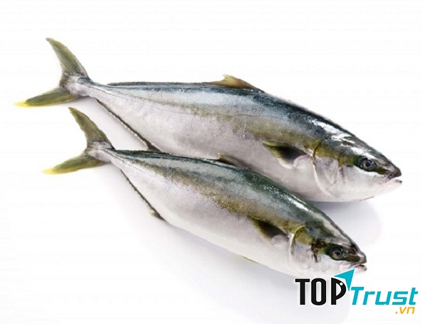 Ăn cá biển giúp phòng ngừa ung thư