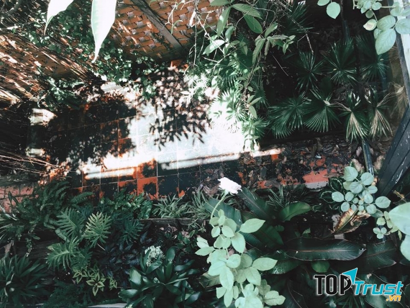 Cabin Coffee - Capuccino