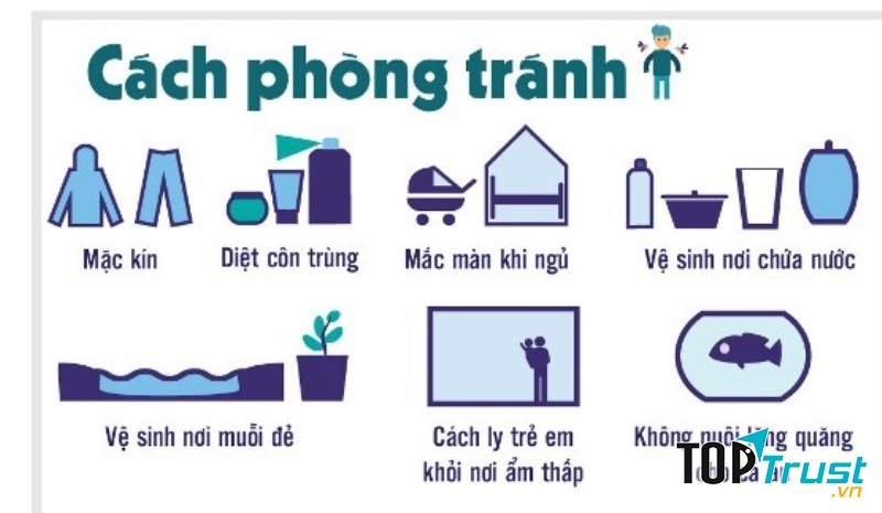 Các biện pháp phòng bệnh