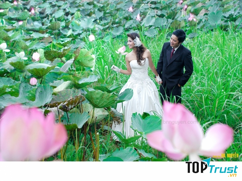 Các đầm sen ở Thốt Nốt