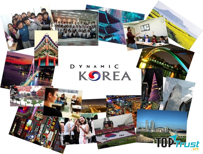 Bạn phải tìm hiểu tốt nhất về các yêu cầ ucura ngôi trường bạn sắp theo học