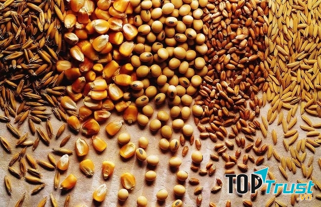 Các loại hạt tốt cho não bộ