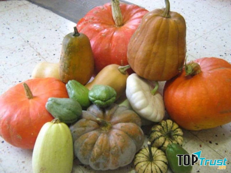 Các loại quả họ bí thường có kích thước to hoặc dài, vì thế để chúng vào tủ lạnh là không cần thiết, chúng sẽ gây tốn diện tích tủ lạnh.