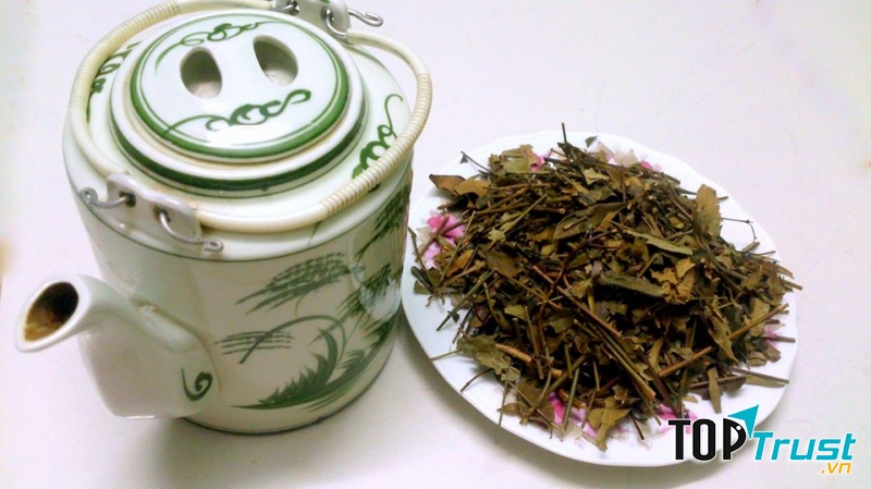 Chè vằng rất lợi sữa cho mẹ sau sinh