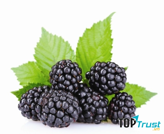 Mùa dâu tằm vào khoảng tháng 3-4