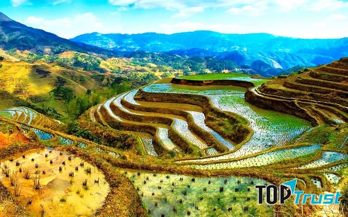 Cách đây hơn 2.000 năm, người Ifugao đã tạo ra và canh tác trên những mảnh ruộng bậc thang ấy