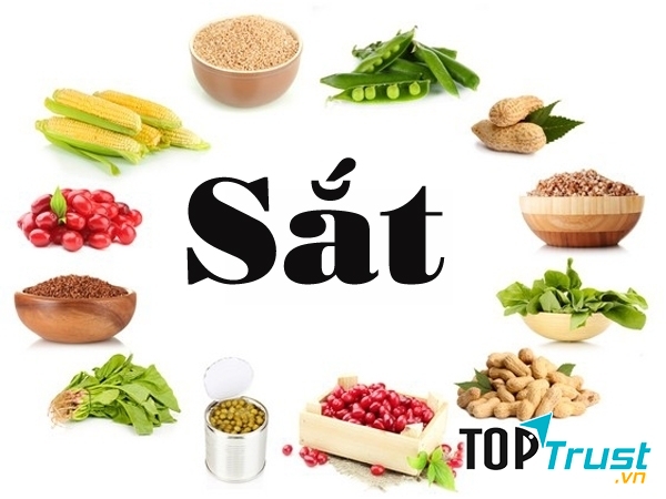 Bổ sung sắt cho cơ thể