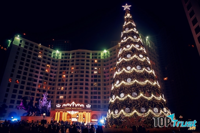 Royal City rực rỡ với cây thông khổng lồ