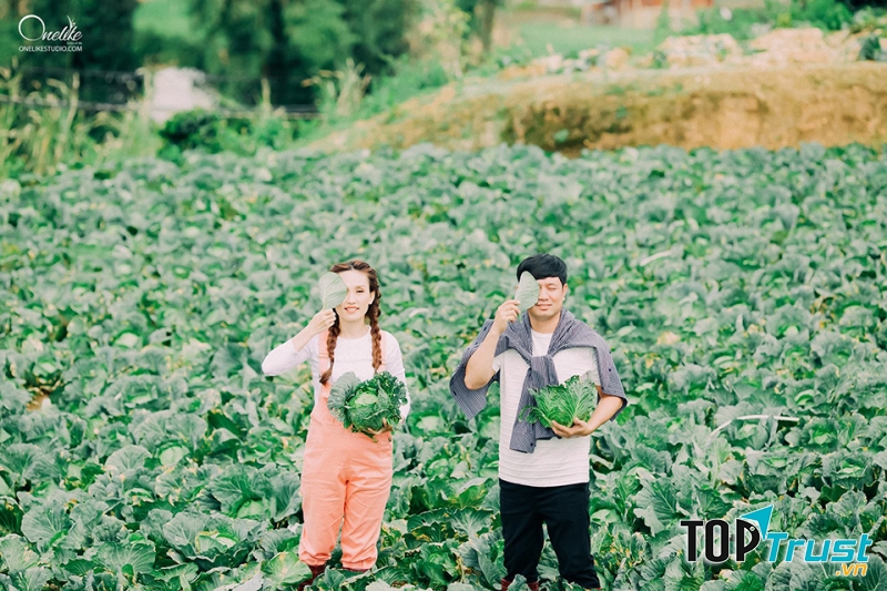 Địa điểm chụp ảnh cưới đẹp tại vườn rau Đà Lạt.
