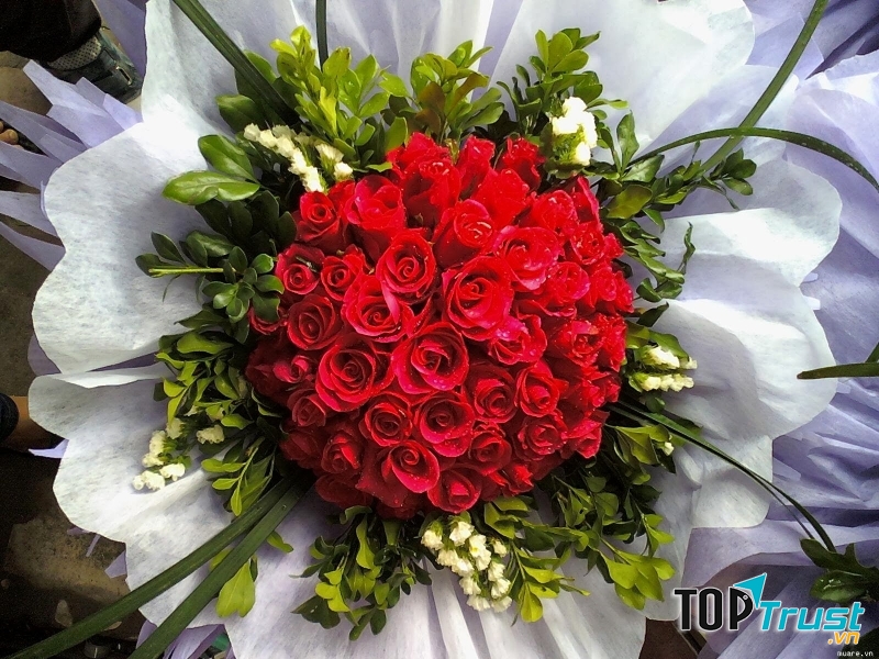 Cách cầu hôn với những đóa hồng