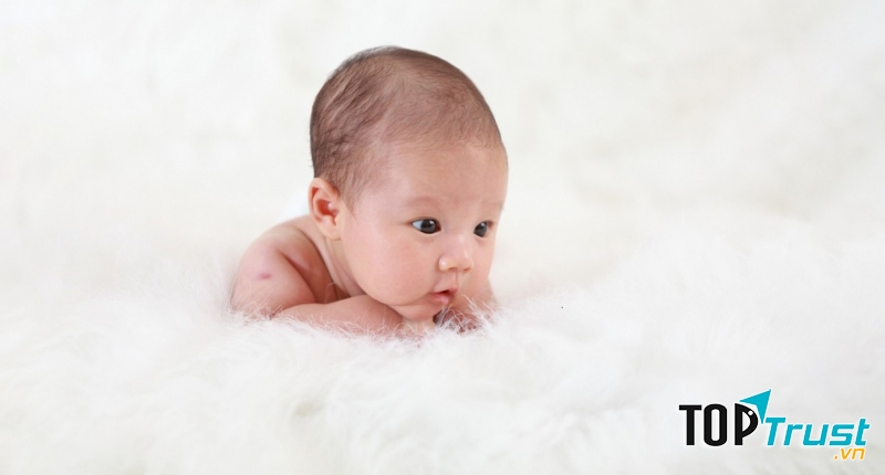 Ảnh minh họa (Nguồn Internet)