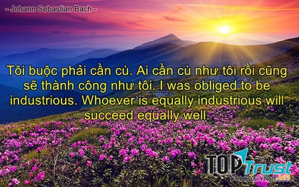 Nhóm người cần cù