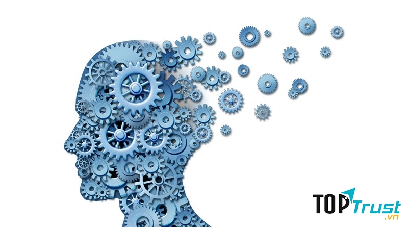 Nhóm người luôn hành động theo logic, quy định