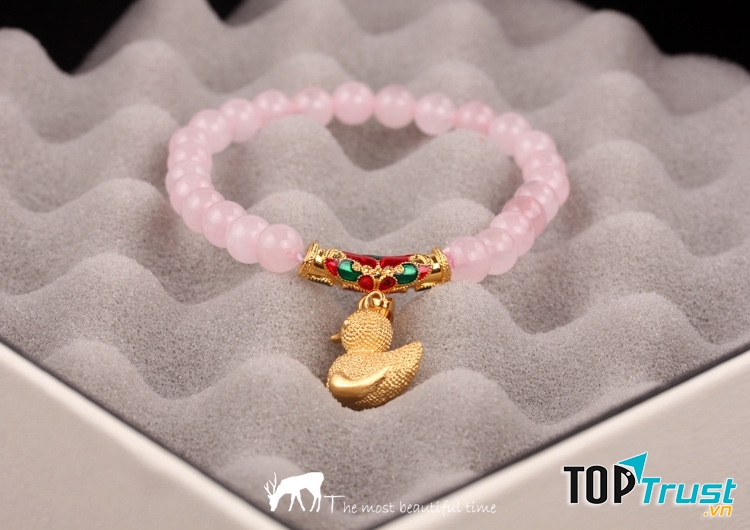 Màu tương sinh tương hợp: Tím, hồng, đỏ, nâu đất, vàng sậm.