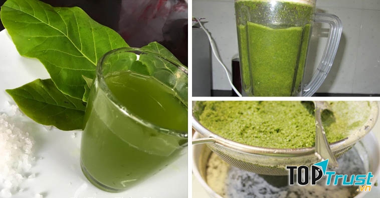 Cách chữa viêm họng bằng lá bàng