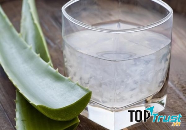 Chữa viêm lợi với nha đam