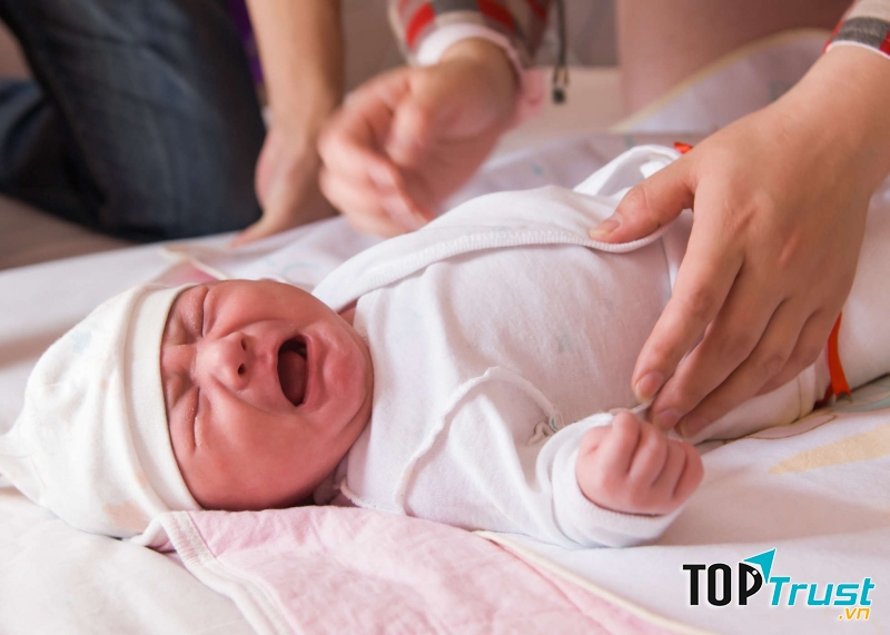 Có bé thích được bế ra ngoài, có bé lại thích được dỗ dành, vuốt ve.