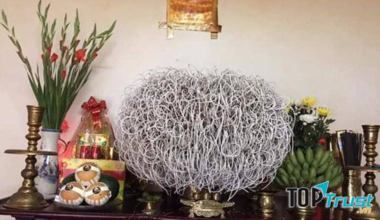 Từ ngàn xưa, ông cha ta đã sử dụng nước ngũ vị hương từ 5 loại cây để lau dọn bàn thờ.