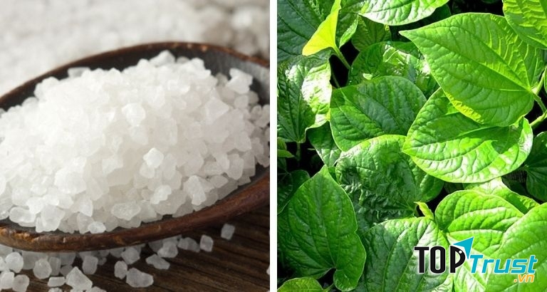 Lá lốt và muối hột