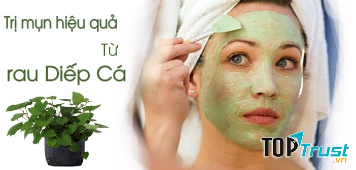 Cách trị mụn hiệu quả sau 1 đêm với rau diếp cá