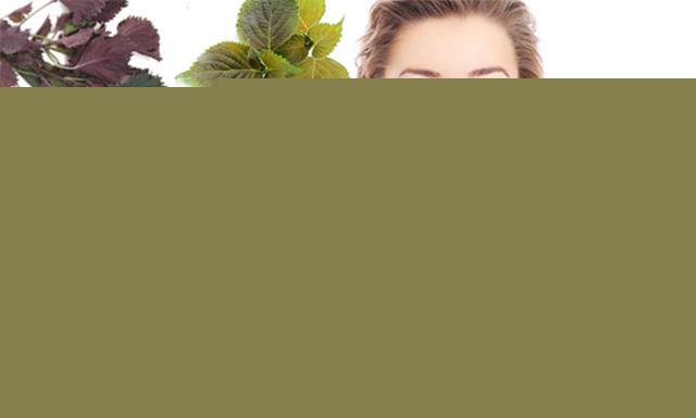 Cách trị nám bằng lá tía tô