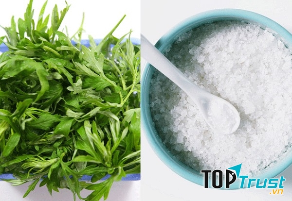 Cách trị phong thấp bằng muối và ngải cứu