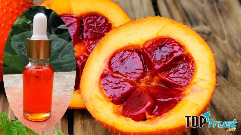 Cách trị rạn da bằng dầu gấc