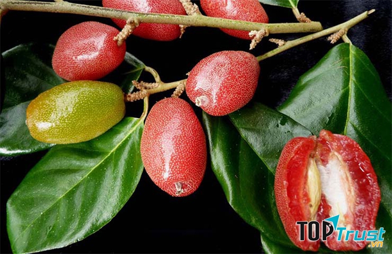 Ảnh minh họa - nguồn internet