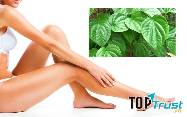 Cách triệt lông chân vĩnh viễn tại nhà bằng lá trầu không