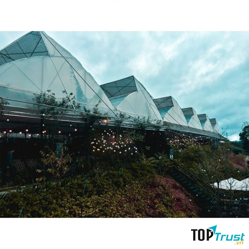 Cafe F Cánh đồng hoa