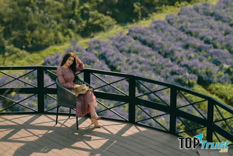 Cafe F Cánh đồng hoa