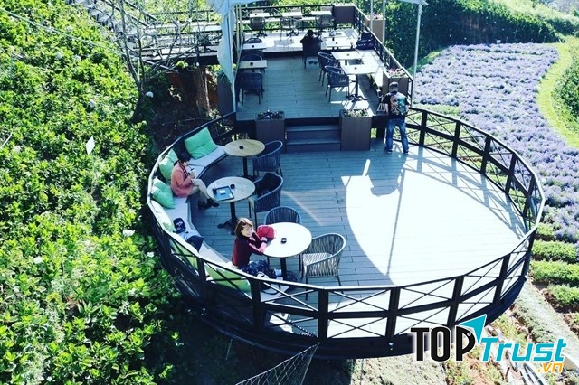 Với view trên cao ngắm nhìn cánh đồng hoa trải dài