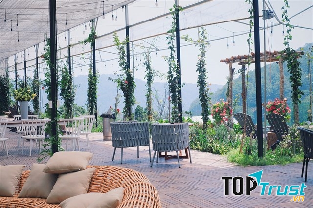 Cafe F Cánh Đồng Hoa Đà Lạt