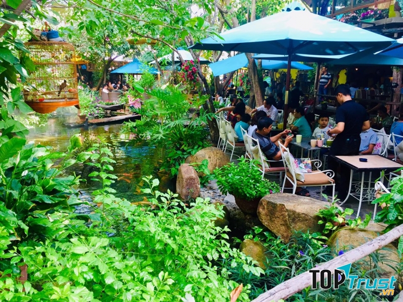 Cafe Hoa Đồng Nội