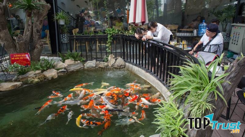 Cafe Koi Nha Trang