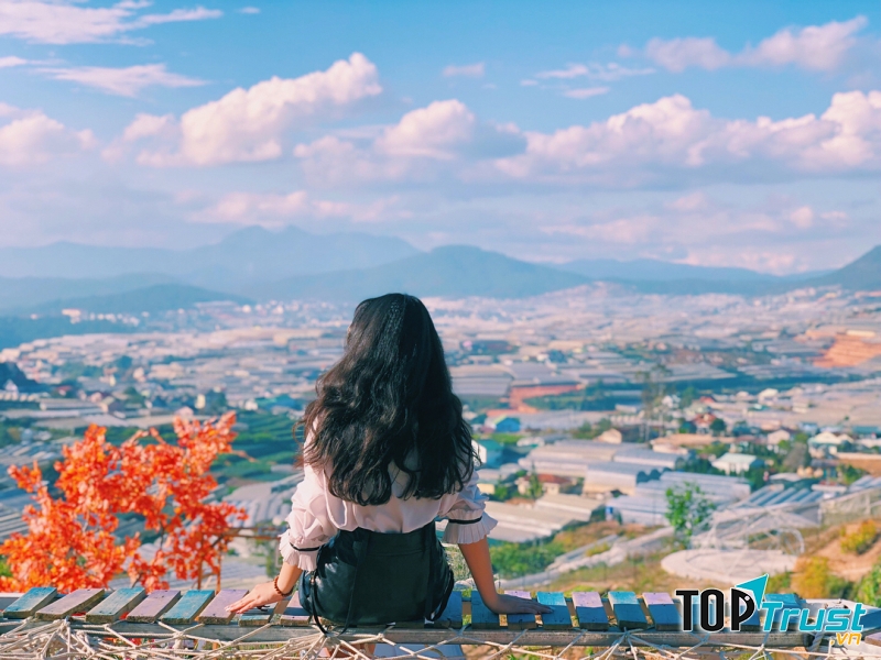 Đứng từ nông trại, bạn có thể phóng tầm mắt xuống cả một cánh đồng đang ẩn mình dưới nắng