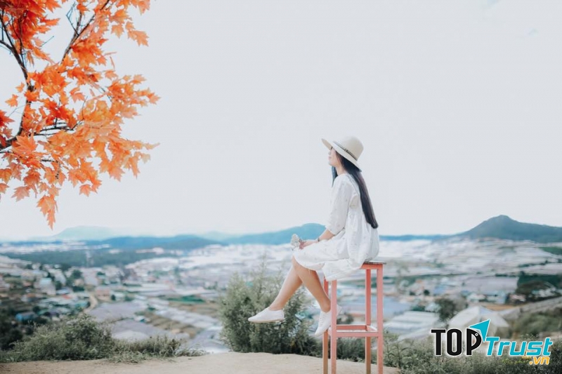 Một không gian dễ thương với vô vàn những góc sống ảo cùng khung cảnh tuyệt vời ở đây sẽ là điểm đến cuối tuần vô cùng thú vị cho những tâm hồn lỡ yêu vùng đất cao nguyên này