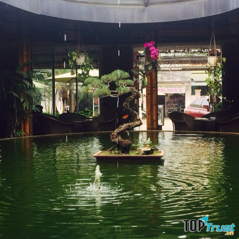 Hồ nước rộng có rất nhiều cá chép bơi lội tung tăng