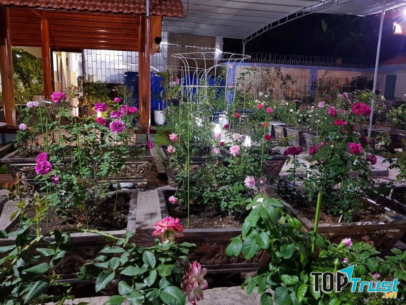 Cafe Vườn Hồng là một trong những quán café đẹp ở Bến Tre