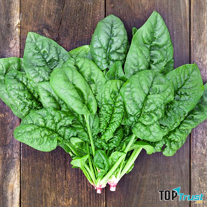 Vitamin C, flavonoid, beta carotene là những chất dinh dưỡng có trong cải bó xôi giúp cơ thể bạn tăng sức đề kháng