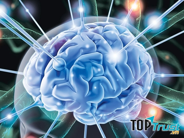 Cải thiện hoạt động não bộ